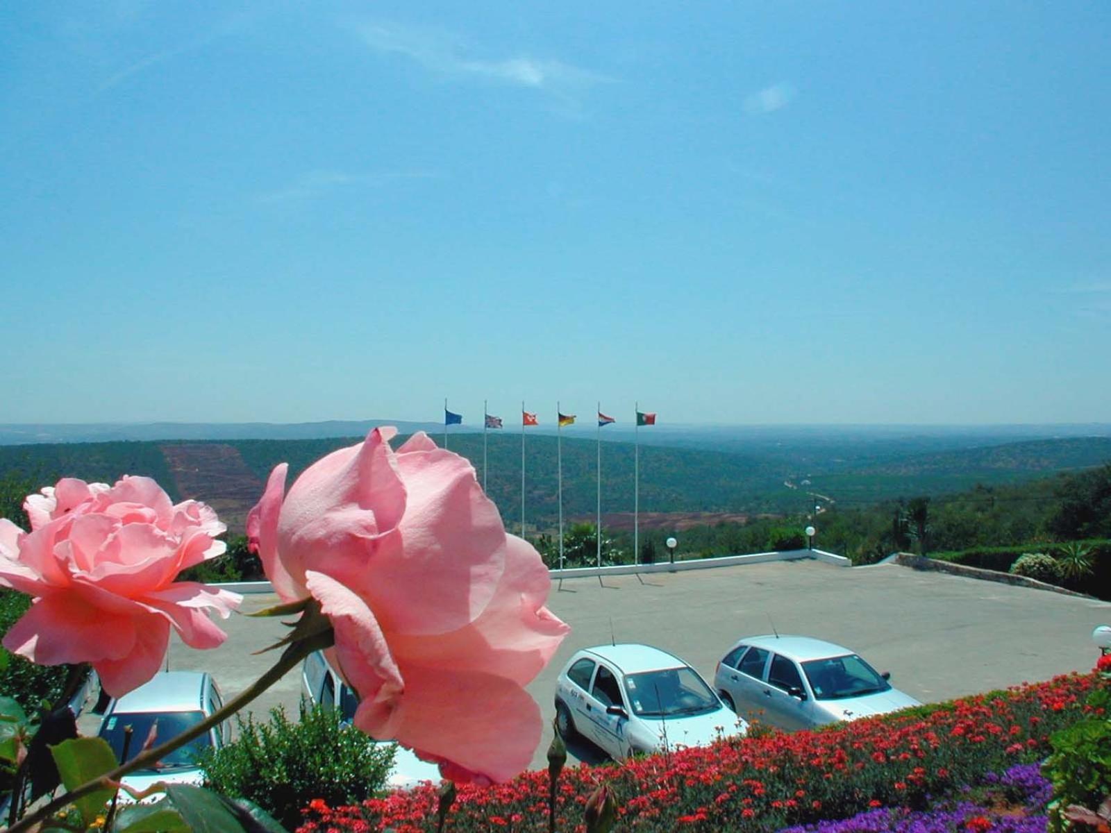 Alte Hotel ภายนอก รูปภาพ